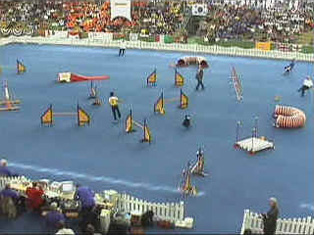 Elliot's første VM Elliot's første VM
