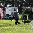 Den 22. august var vi til et dobbelt klasse 1 & 2 stævne hos Slagelse Hundesport i Skælskør – og det var Sookie’s debut i både agility klasse 2 (AG2) […]