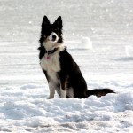 20110226-sookie10