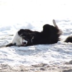 20110226-sookie3