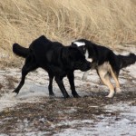 20110226-sookie7