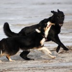 20110226-sookie8