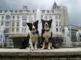 Sookie and Vini in Oviedo, Spain