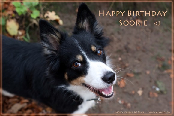 Happy Birthday, Sookie <3