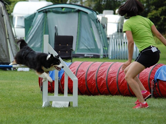 Sookie - photo: Randi Büchmann Larsen