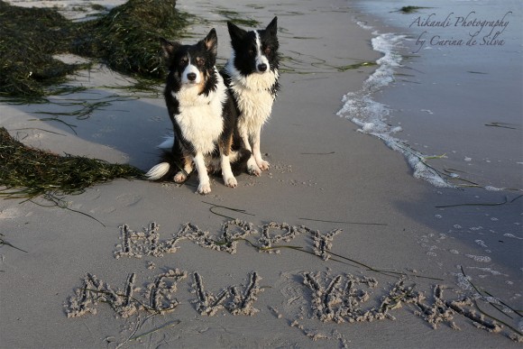 Happy New Year -::- Godt Nytår Happy New Year