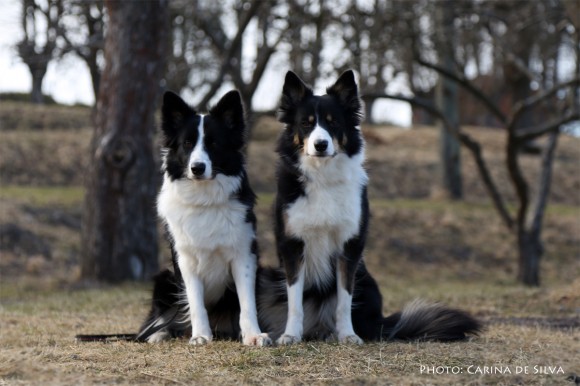 Vini and Sookie