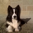 I dag er det Elliot’s 14 års fødselsdag. Vildt at tænke på, hvor mange år det egentlig er og hvor meget der egentlig sker på 14 år! Dejligt at opleve, [&hellip;]
