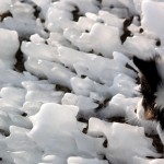 Untitled-26