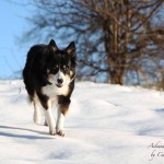 see - I can walk on the snow