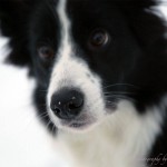 Snow on my nose