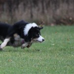 20091115-mbs10