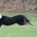 20091115-mbs9