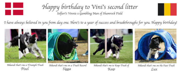 Today Vini’s second litter turns 2 years old – happy birthday to all of you!