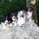 Vini - Sookie - Qato - Waldemar