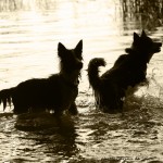 Vini & Sookie