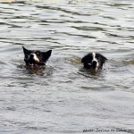 Sookie & Vini