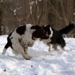 Sookie and Monty playing