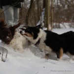 Sookie and Monty playing