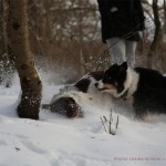 Sookie and Monty playing
