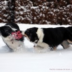 Vini and Sookie