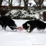 Vini and Sookie