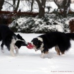 Vini and Sookie