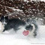 Vini and Sookie - my favourite photo